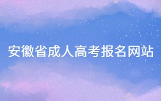 安徽省成人高考報名網站