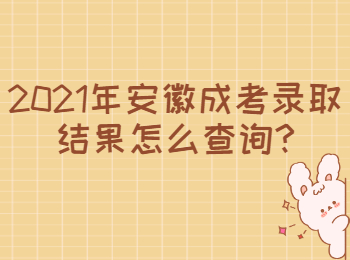 安徽淮北成考錄取結果