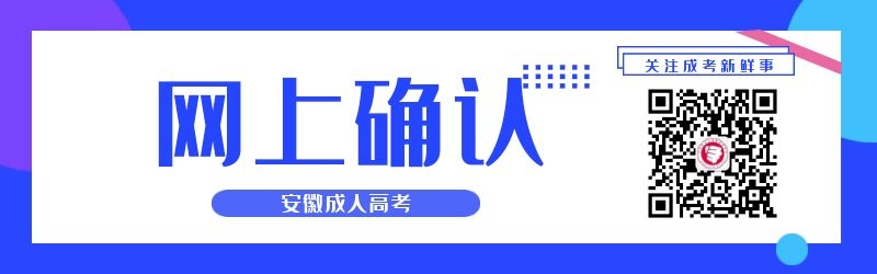 2024年安徽成人高考網上確認須知